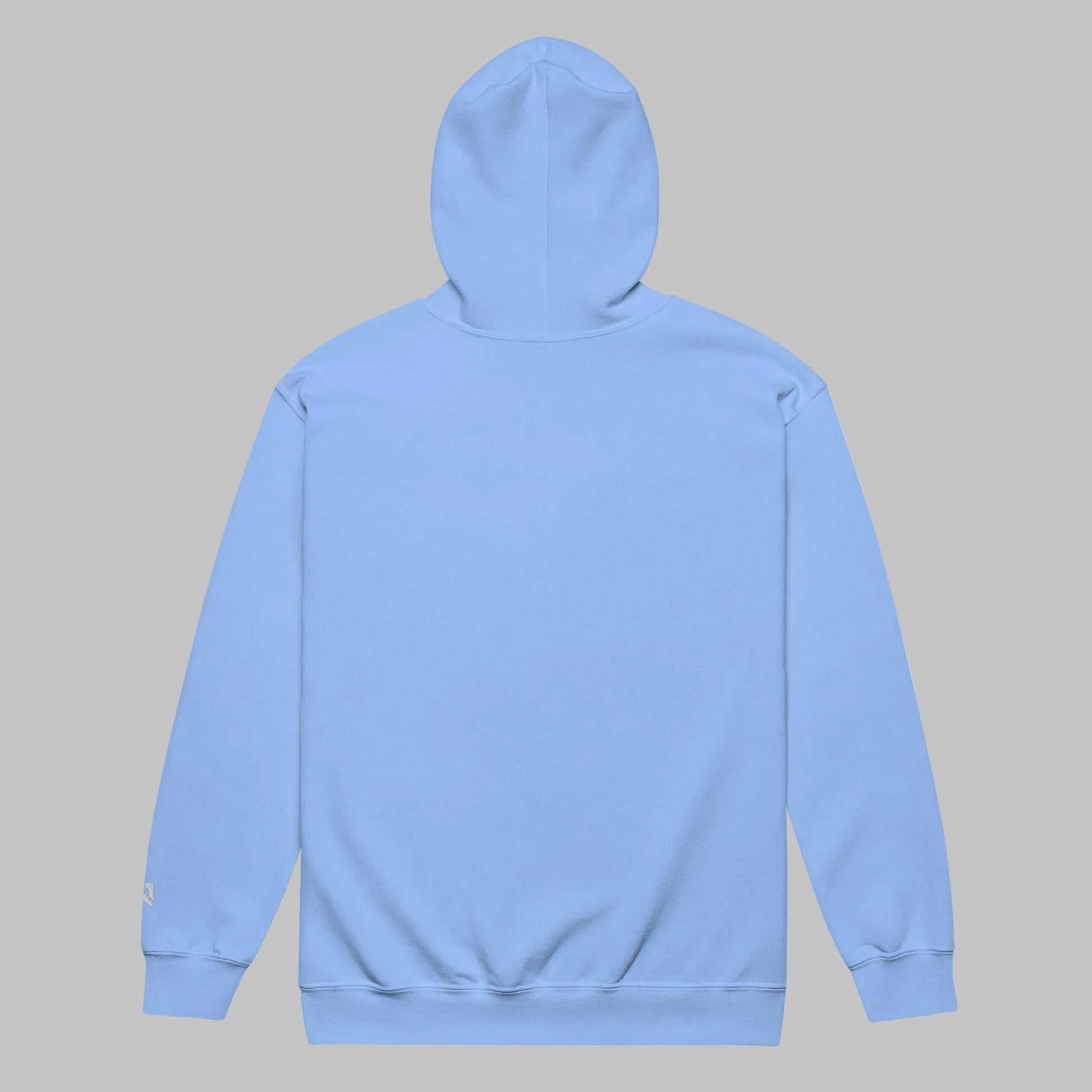 Carolina Blue hoodie
